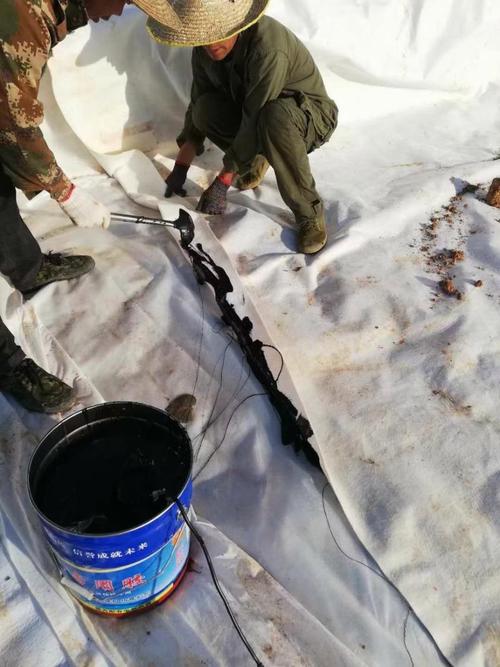 新型膜材料——土工膜、防滲膜、復(fù)合土工膜與防滲專用膠廠家直銷全解析